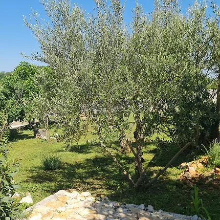 Appartamento Comfort With Vineyard View *