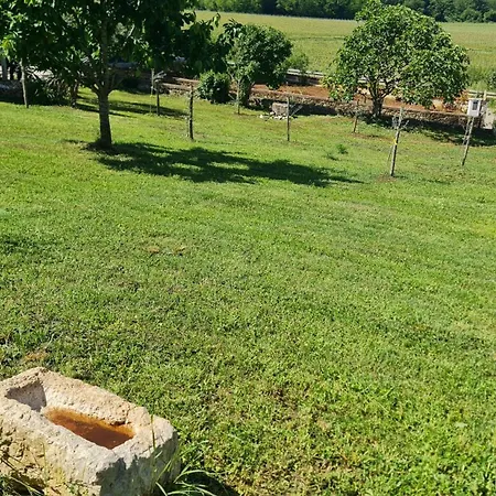 Comfort With Vineyard View Dračevac