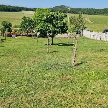 Διαμέρισμα Comfort With Vineyard View *
