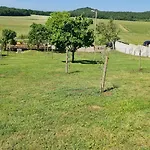 Appartement Comfort With Vineyard View *