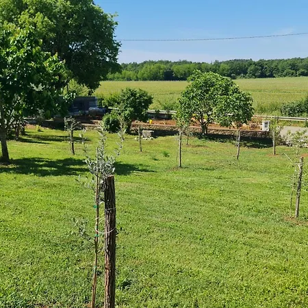 Comfort With Vineyard View Appartement