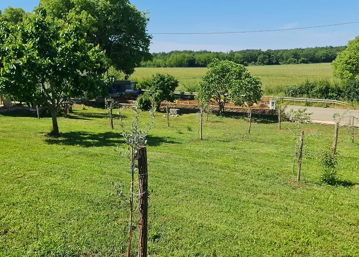 Comfort With Vineyard View Apartman